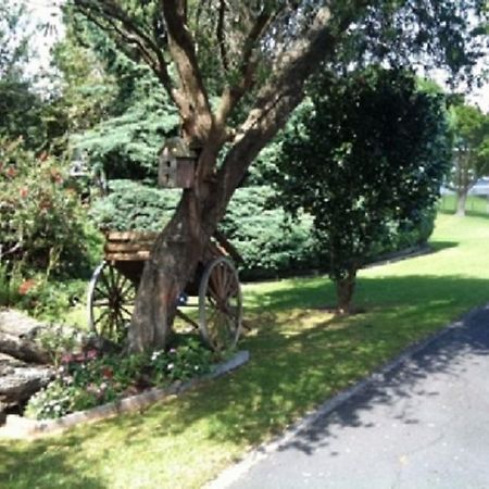 Dargaville Motel Экстерьер фото